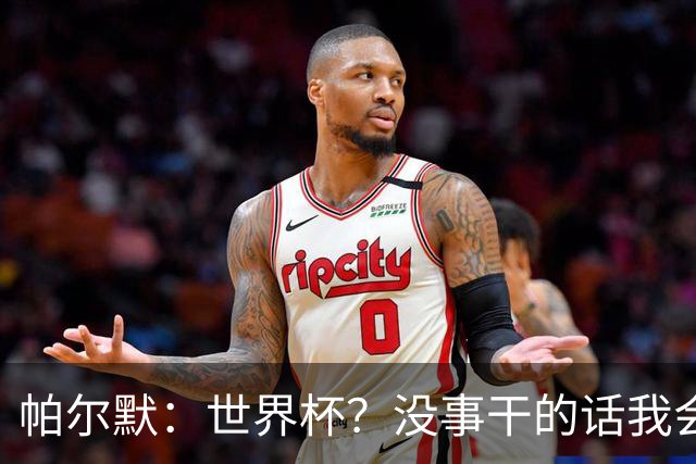 帕尔默：世界杯？没事干的话我会看看，我希望他们能走到最后